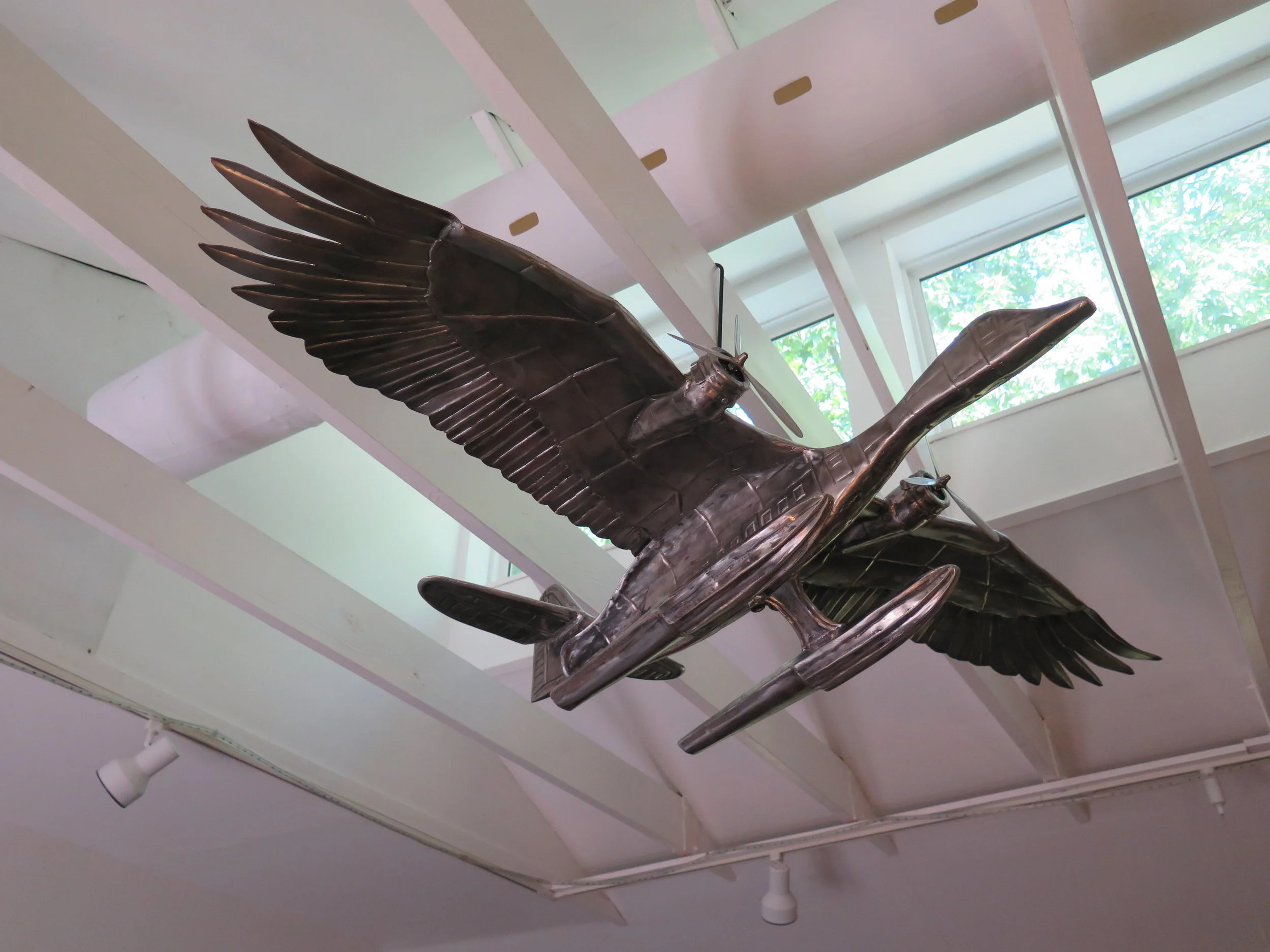 Goose Seaplane 