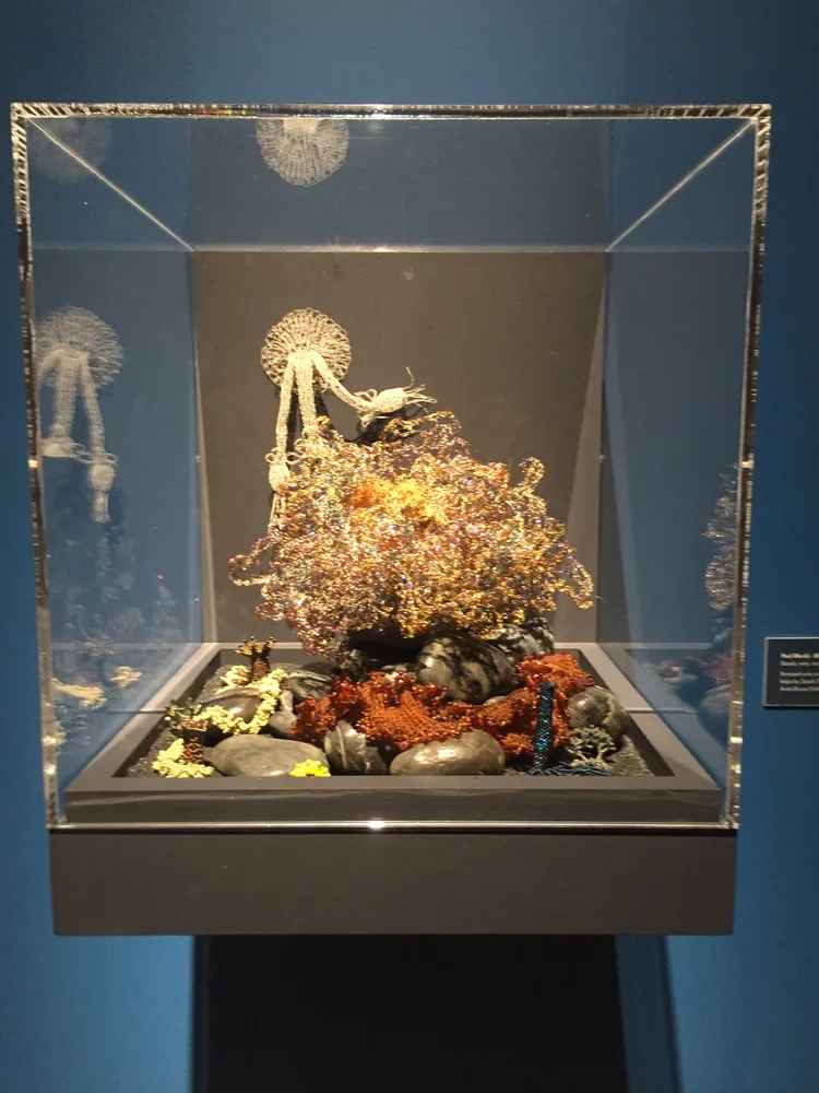 クラッシュゲート◼︎サイ　パッチワーク　サリー　オブジェ　ハンドメイド Crochet Coral Reef: Toxic Seas at MAD Museum — Hannah Brady