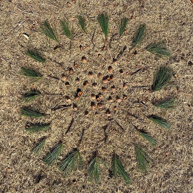 If you can get outside, try creating some land art with found leaves, rocks, sticks, acorns, etc. just like artist Andy Goldsworthy.🌲 🌳 🍃 🍁 🍂

Feel free to send me photos of your art at hannah_brady@wayland.k12.ma.us! 
#andygoldsworthy #andygold