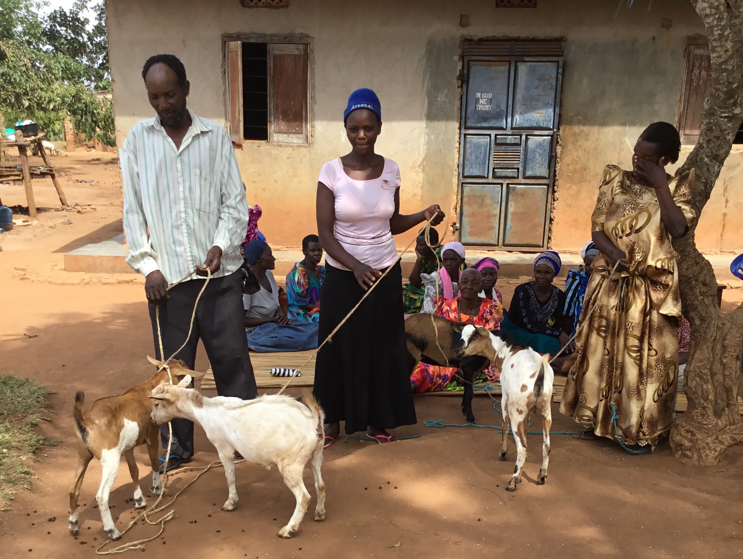 Kibo gave goats to each of the 39 members of Nabikenge village's Kyebajakobona Mvule Group. Like mvule trees, goats provide resources to the community and can be sold for a profit.