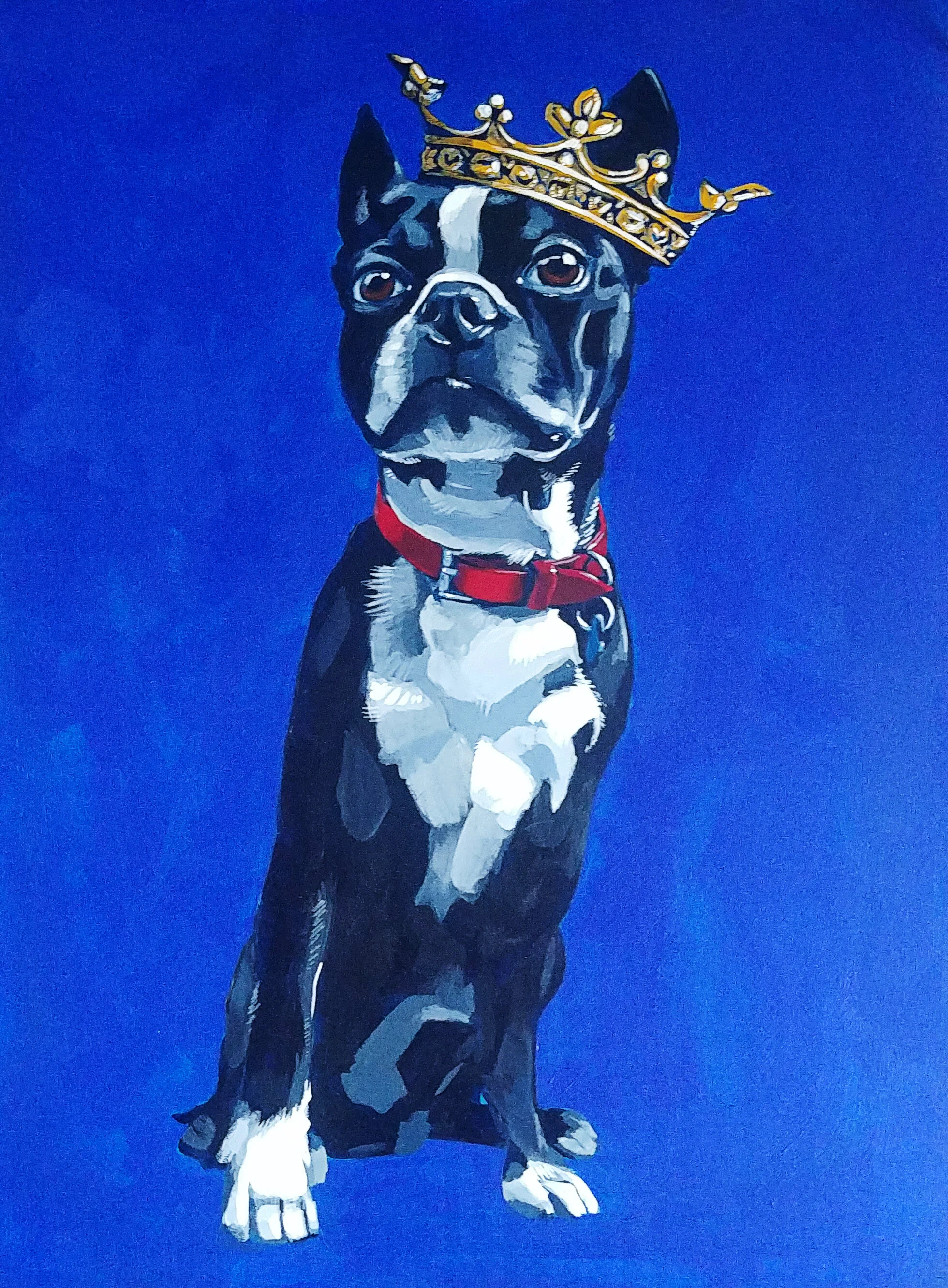 Pet Portrait Commissions — Carla Olson