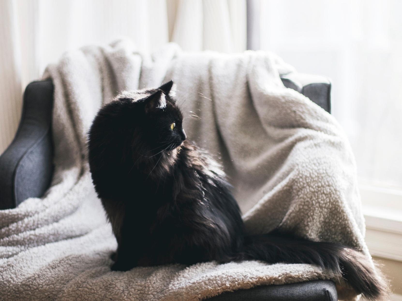 kari-shea-471277-unsplash.jpg