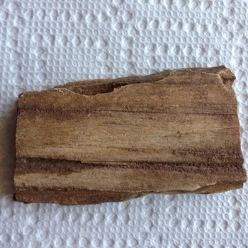 Petrified Wood Paluxy Sand Formation Hood Co., TX