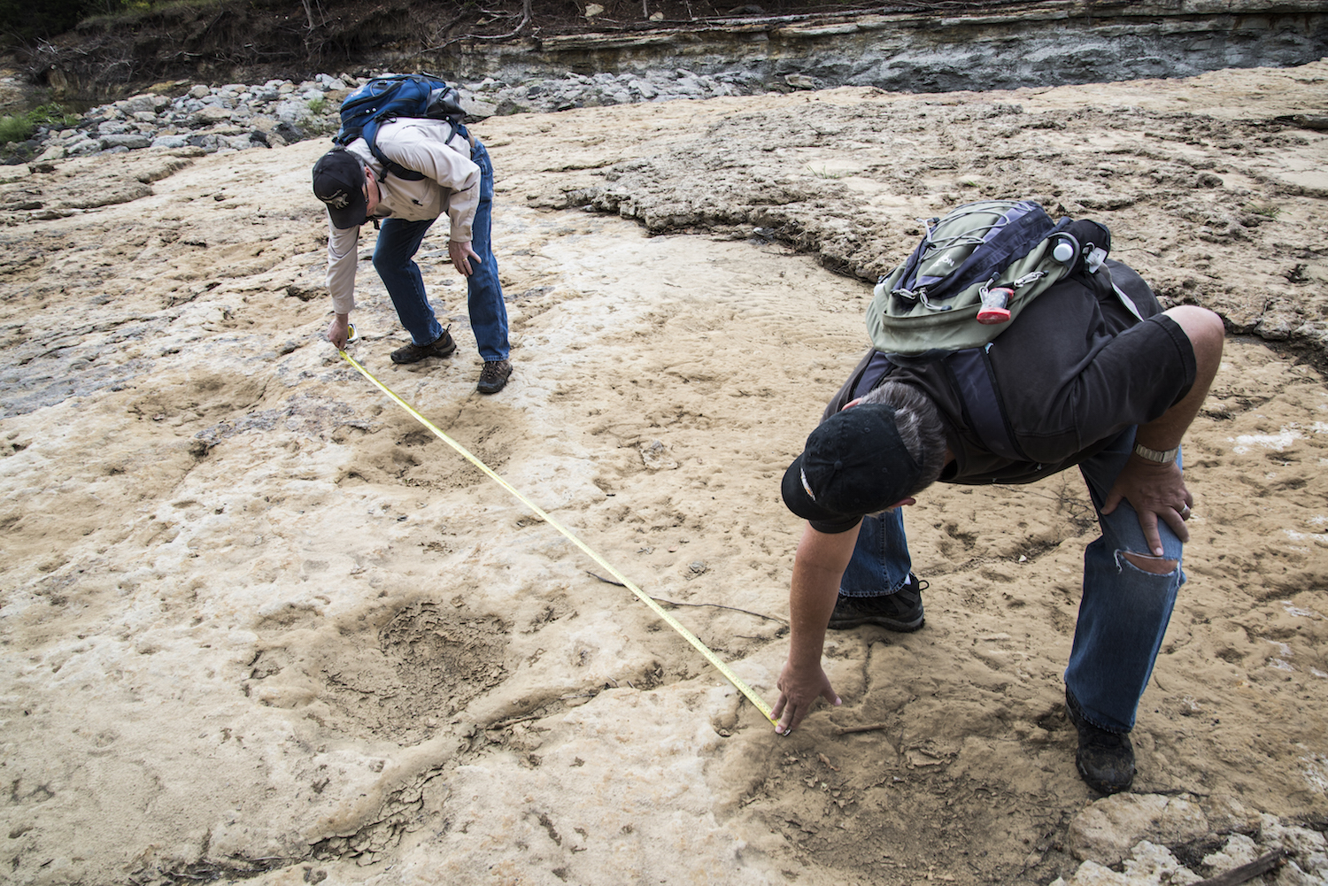 Dinosaur Trackway Grapevine Lake Grrapevine, Tarrant Co., TX