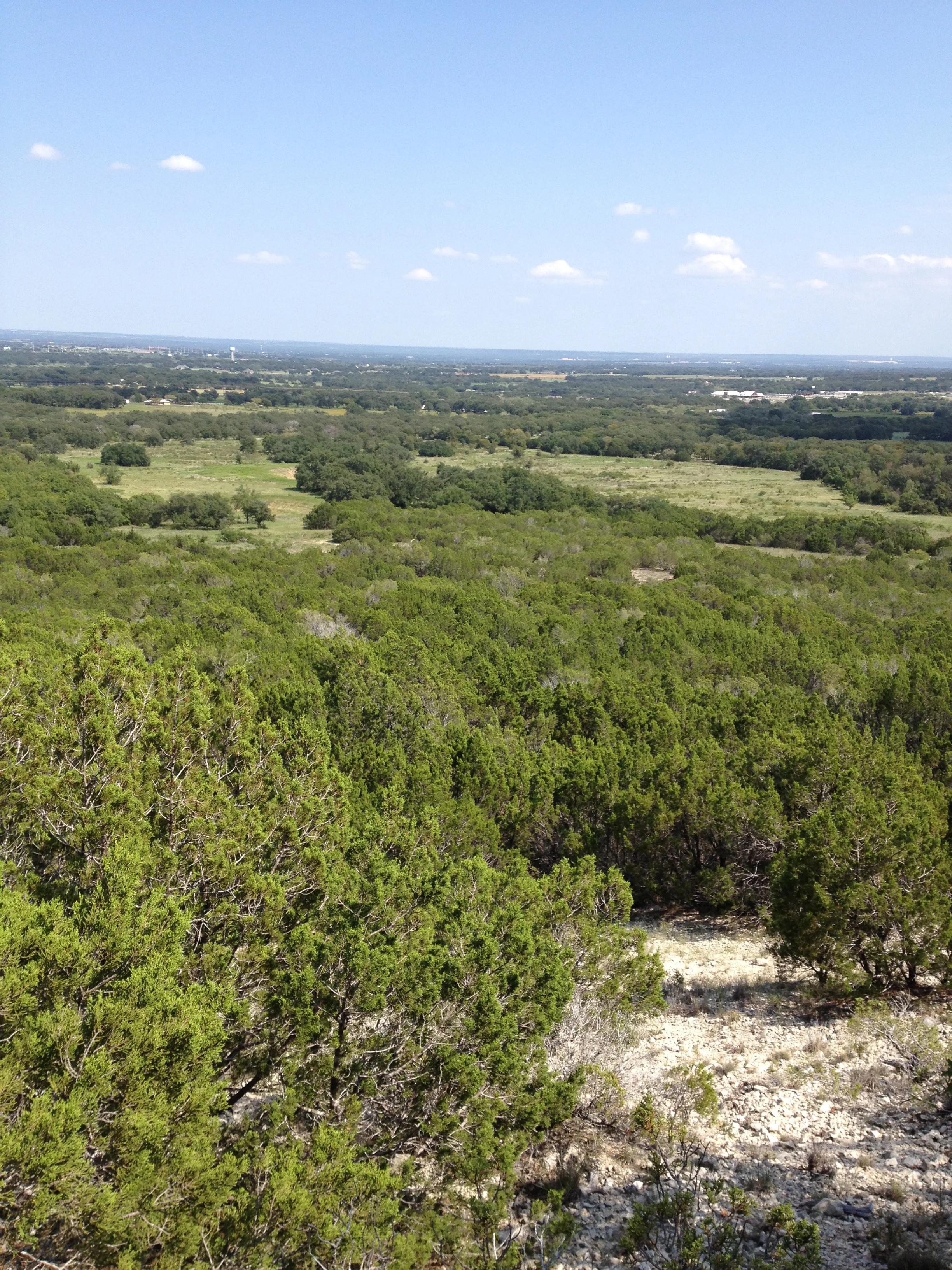 Wise Ranch, Granbury, Hood Co., TX