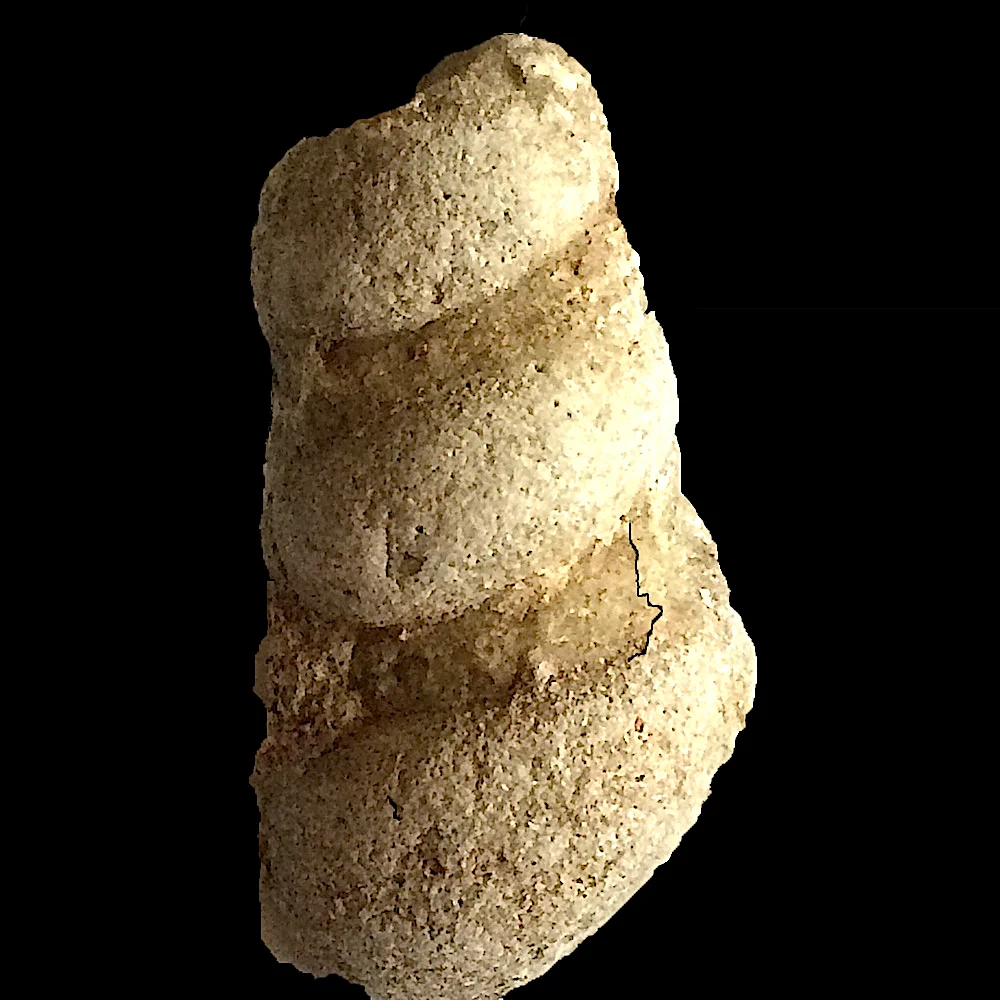 Cerithium sp. #389c Comanche Peak Formation Hood Co., TX