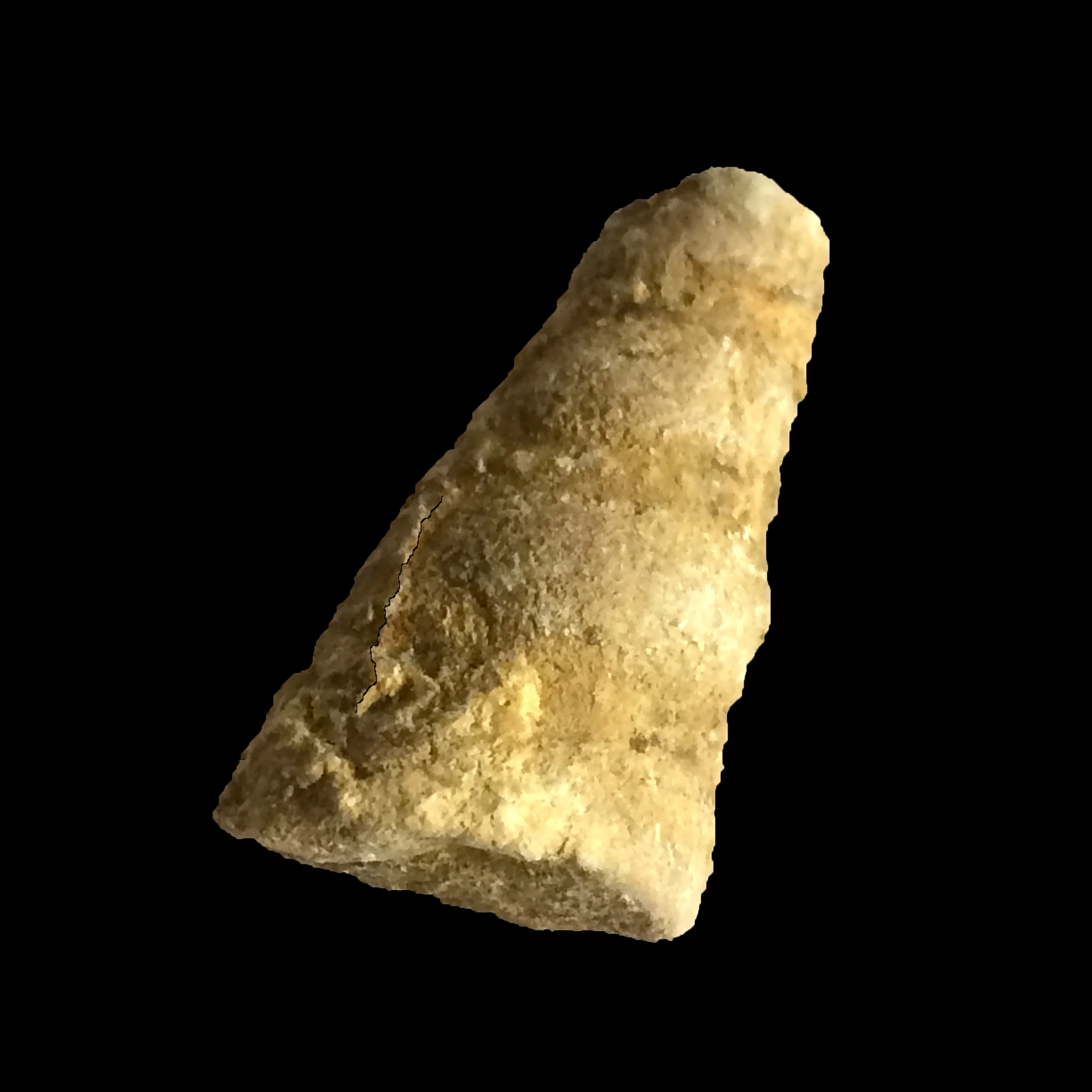 Cerithium sp. #500 Comanche Peak Formation Hood Co., TX
