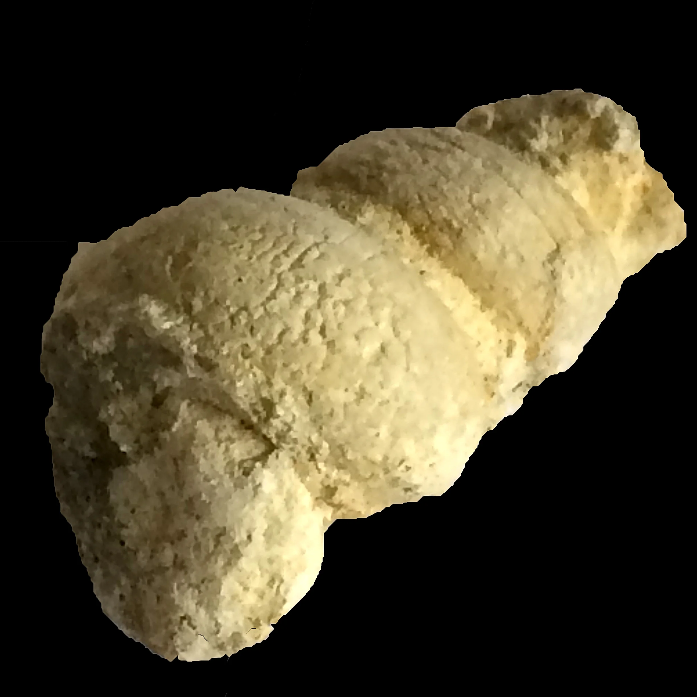 Cerithium sp. #504c Comanche Peak Formation Hood Co., TX