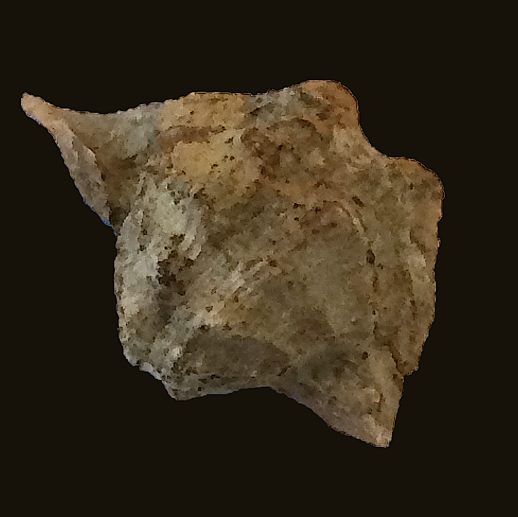 Retispira montfortianus ? #561b Graham Formation (Finis Shale) Jacksboro, Jack Co., TX