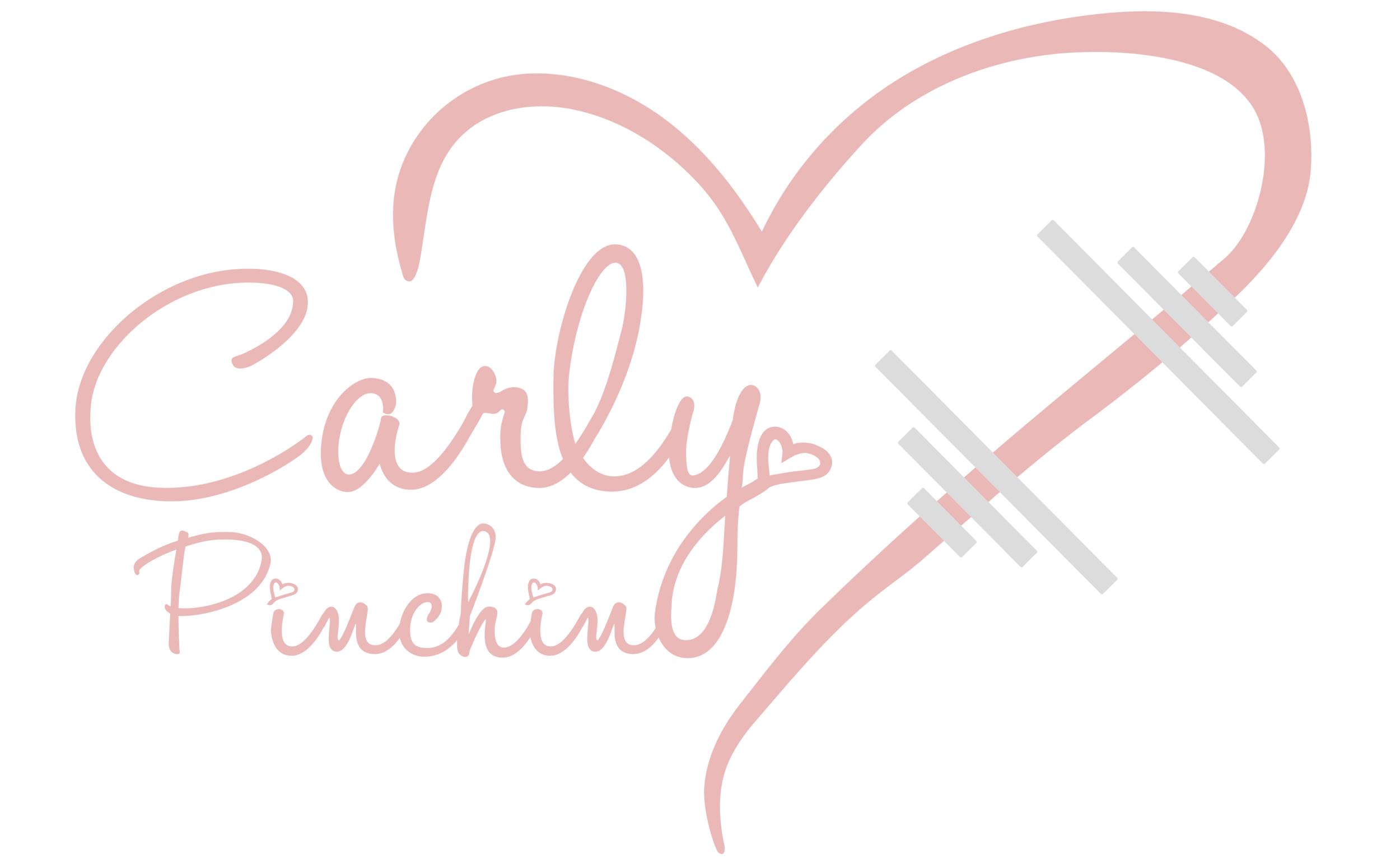 Love and Fit Shop Nursing Sports Bra — Carly Pinchin
