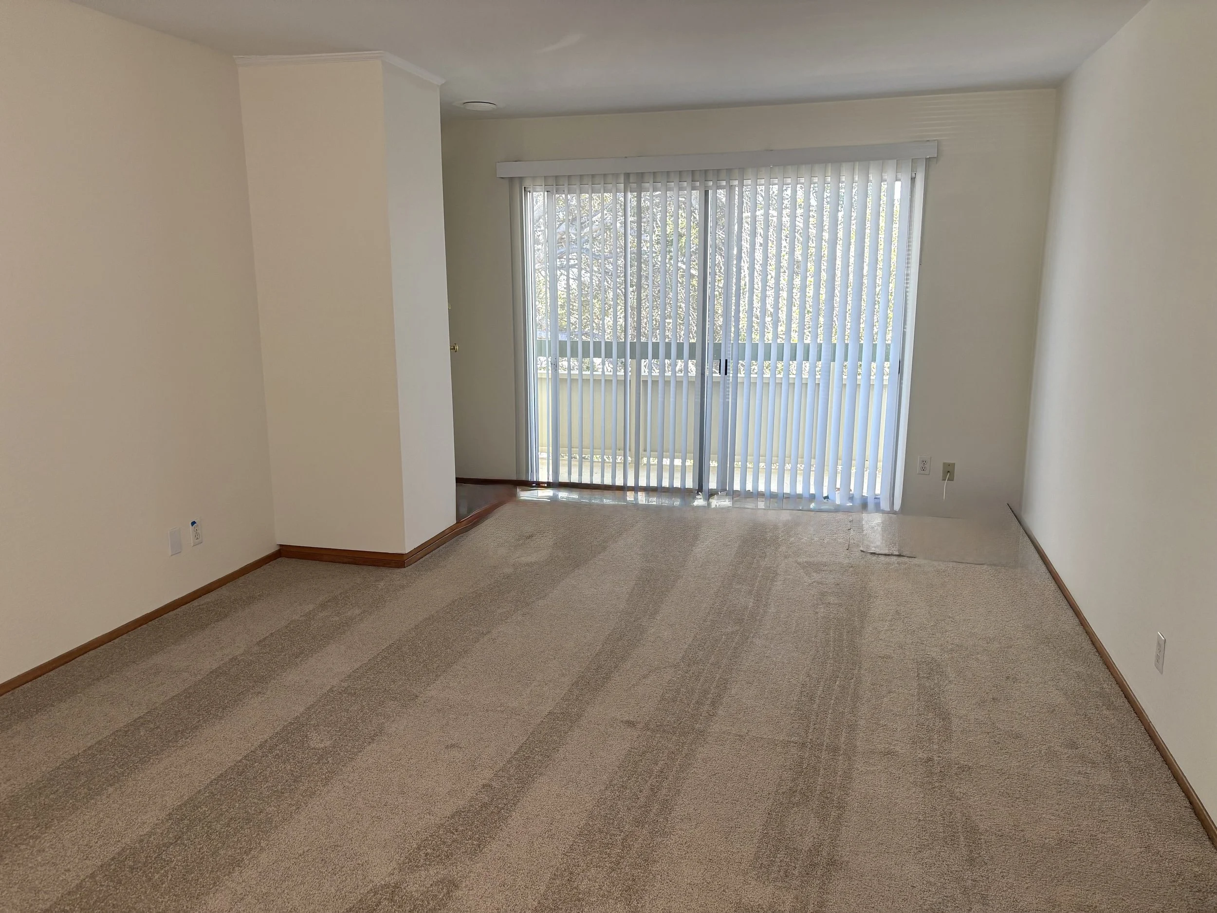 Living Room.jpg