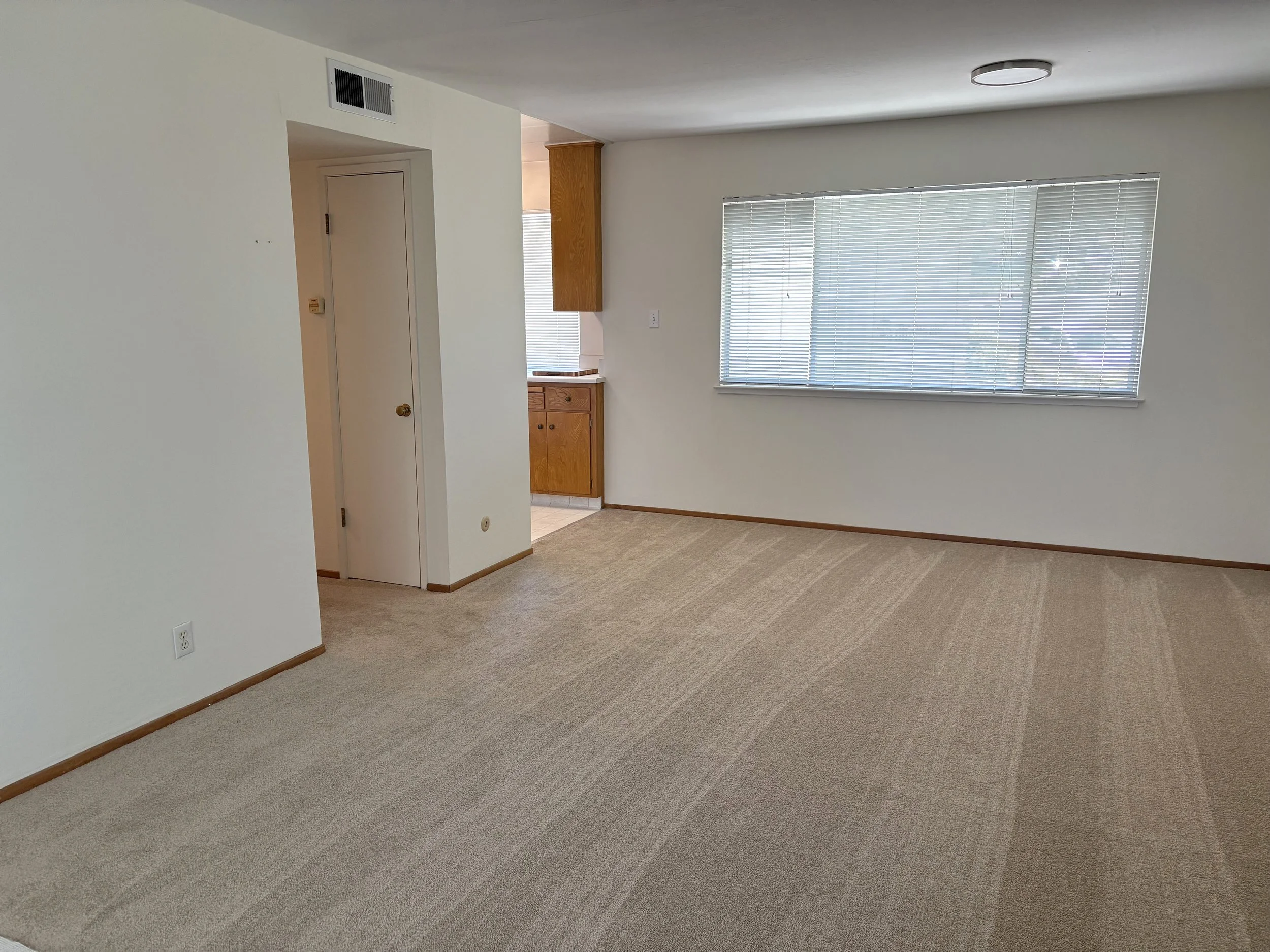 Living Room to Kitchen.jpg