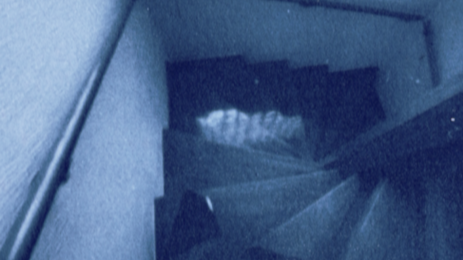 THE THINGS WE LOSE ON OUR WAY TO THE SKY