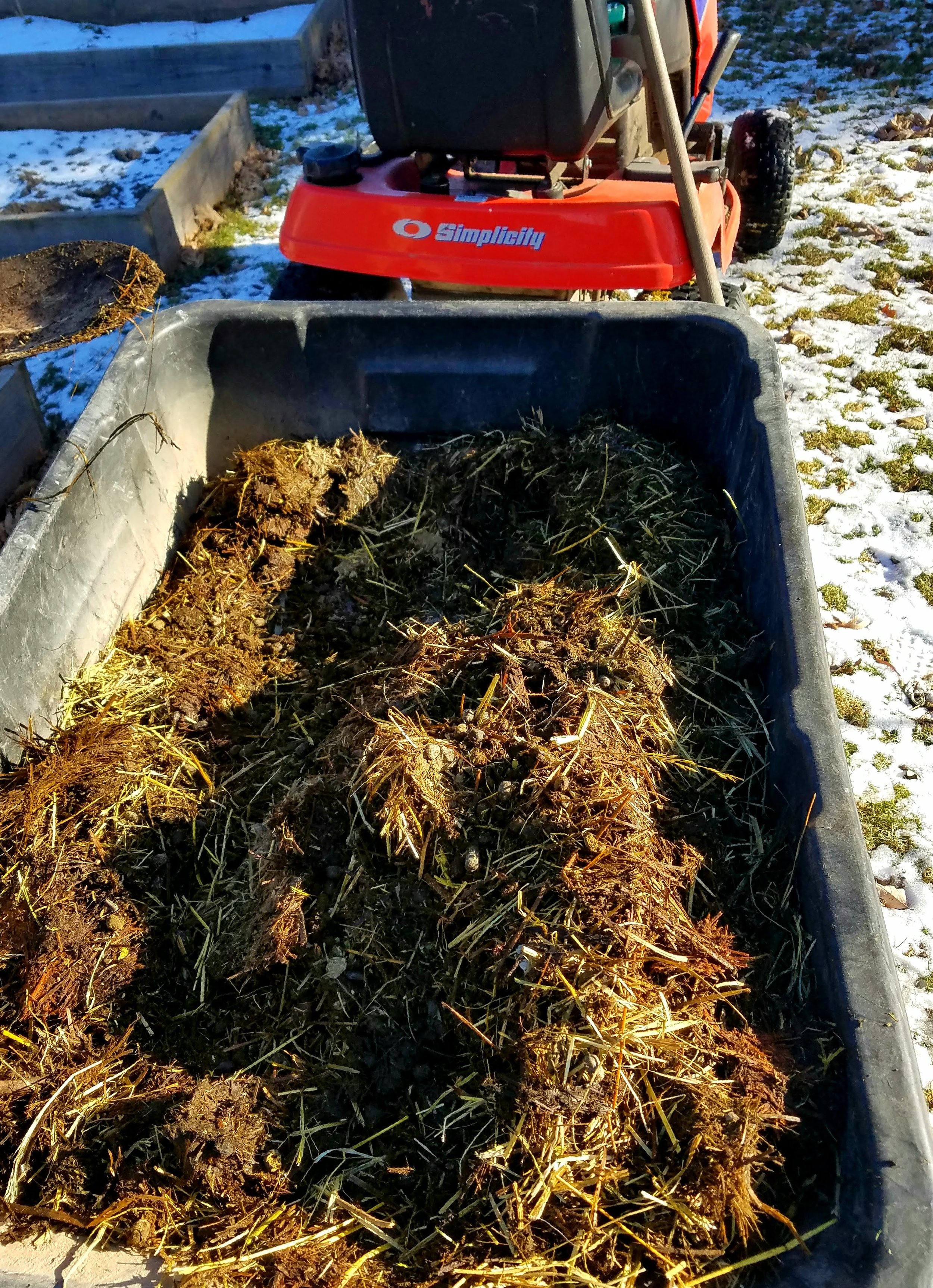 composted manure in trailer