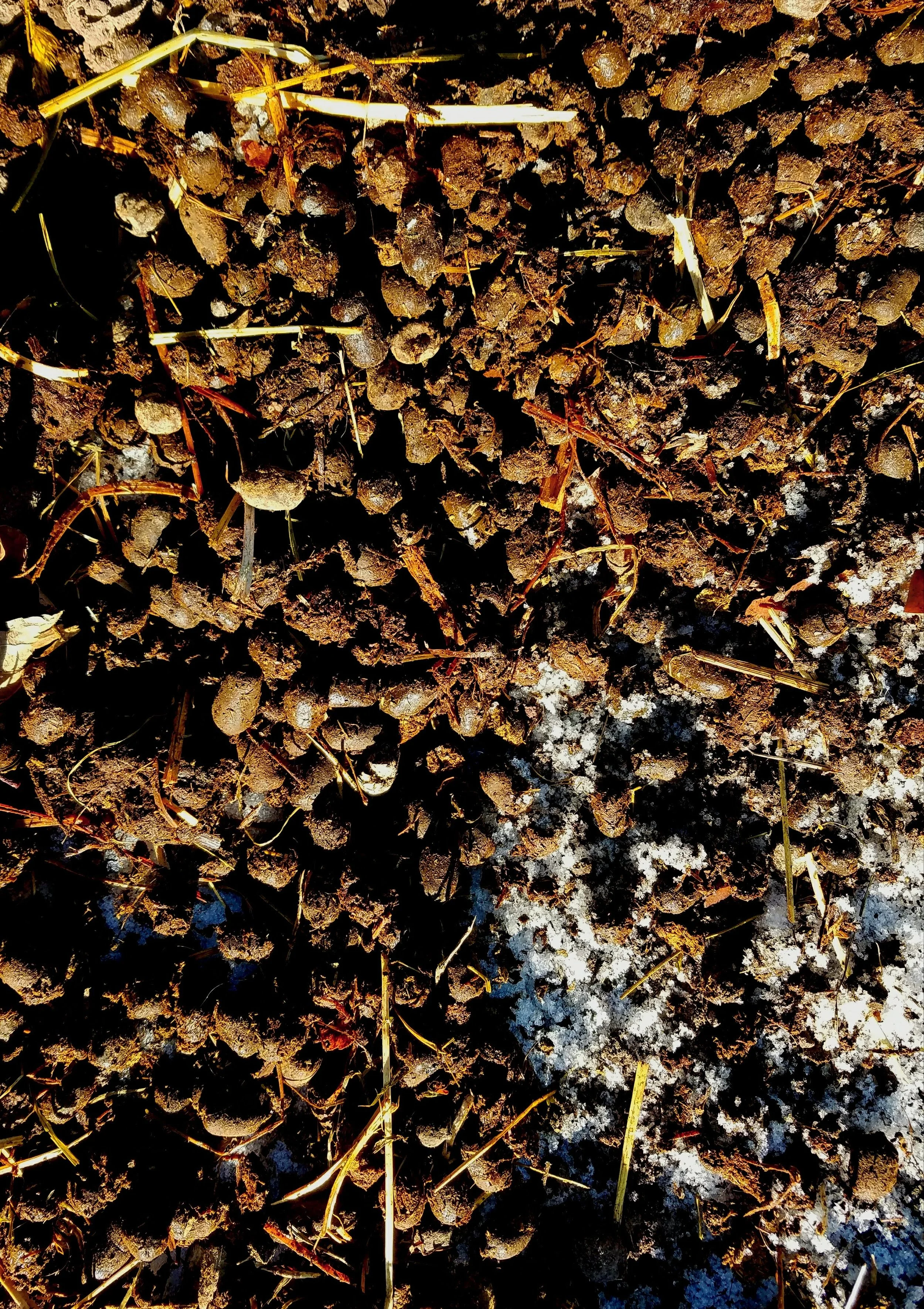 composted manure