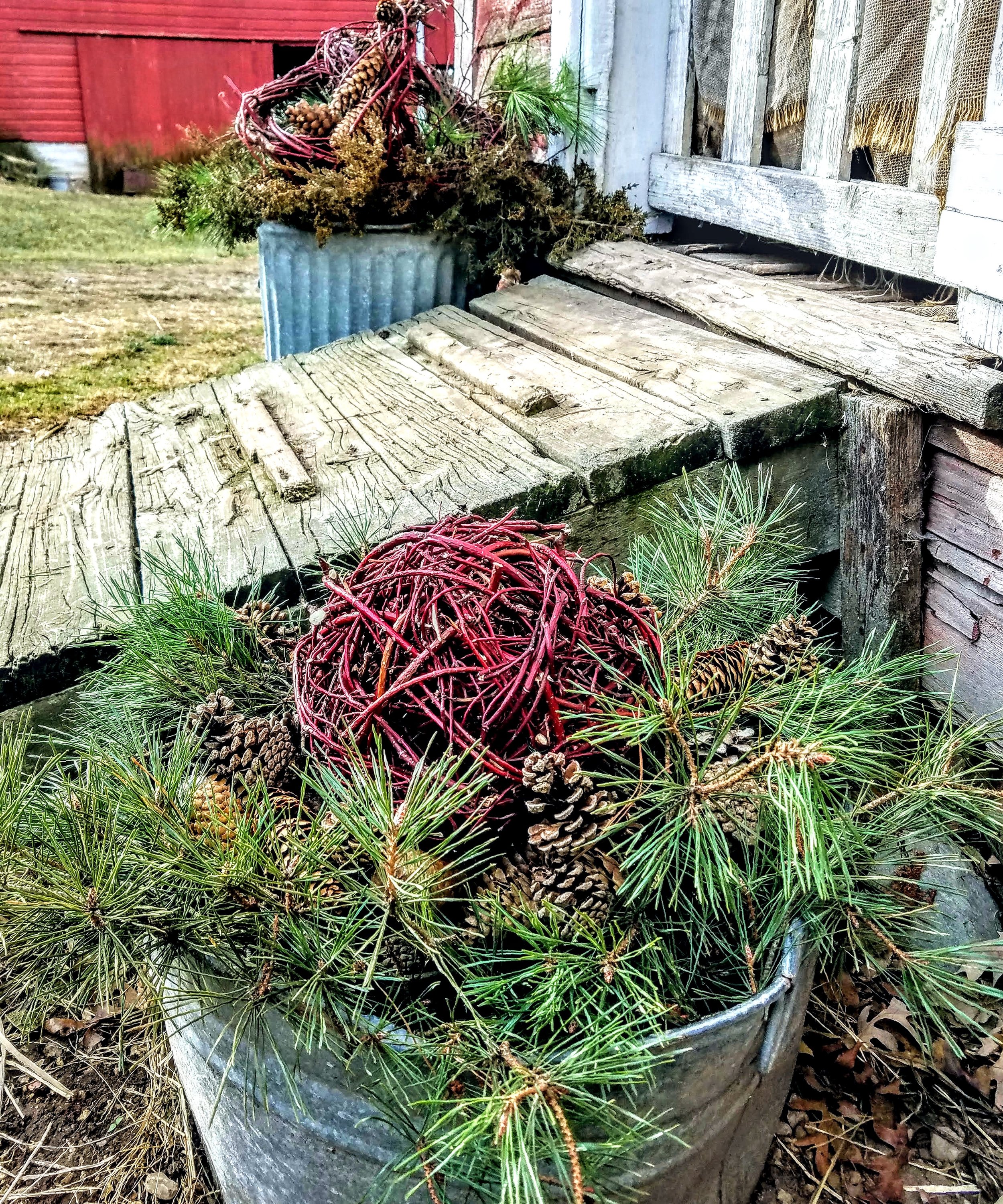 low container with redtwig ball