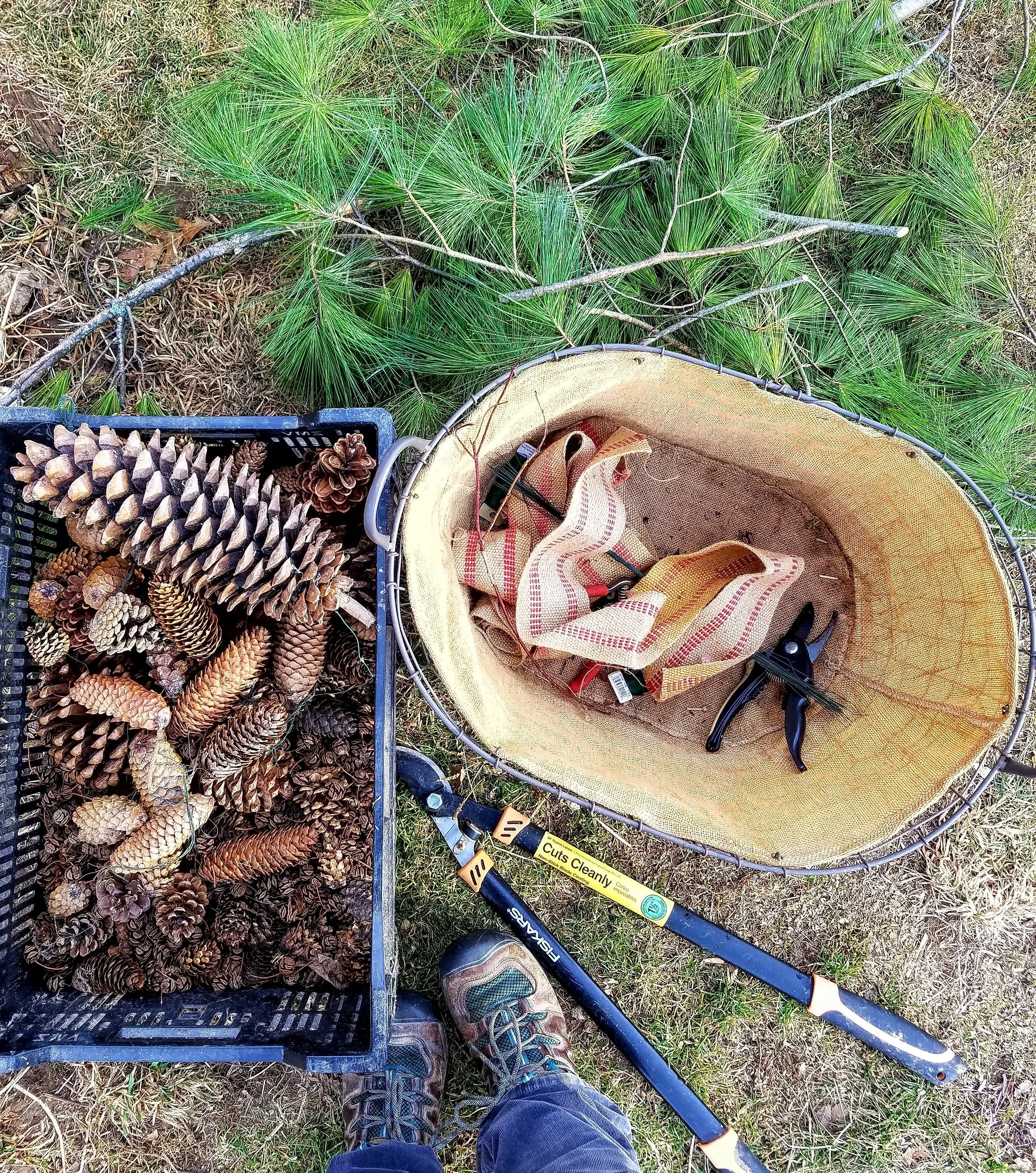 tools for winter pots