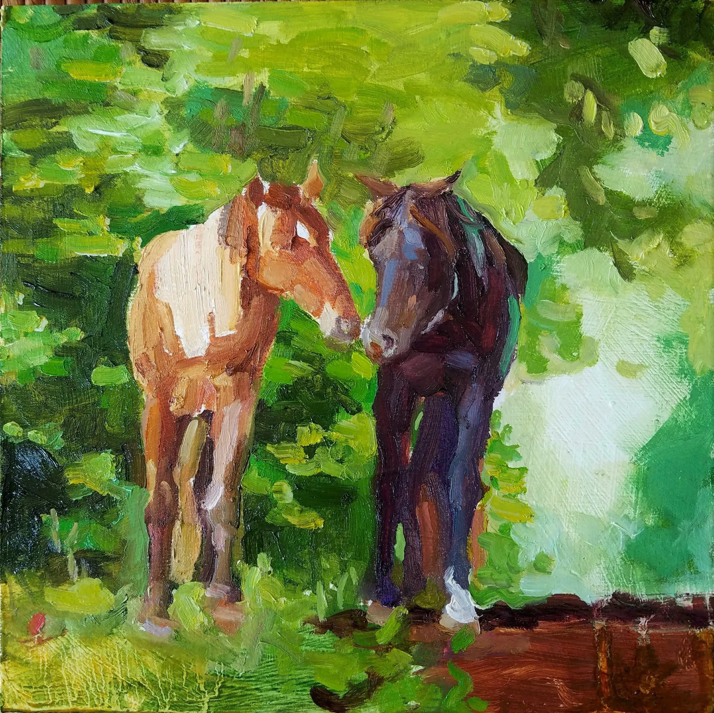 Rocky Mountain Horses