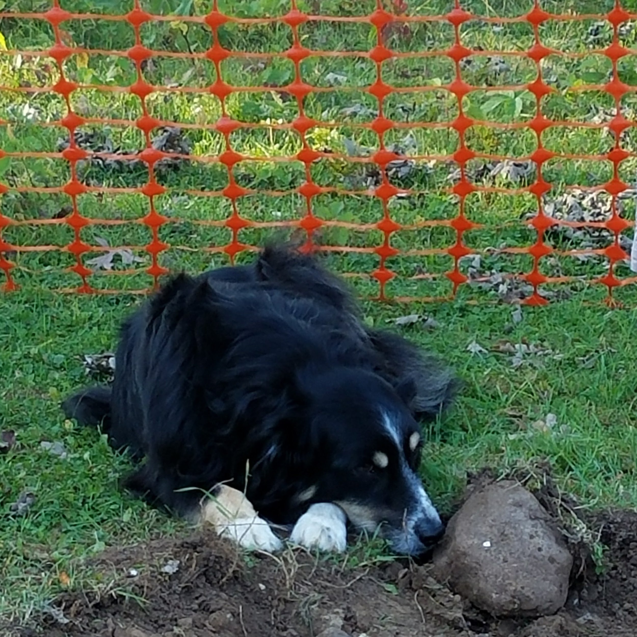 Bounder oversees construction site