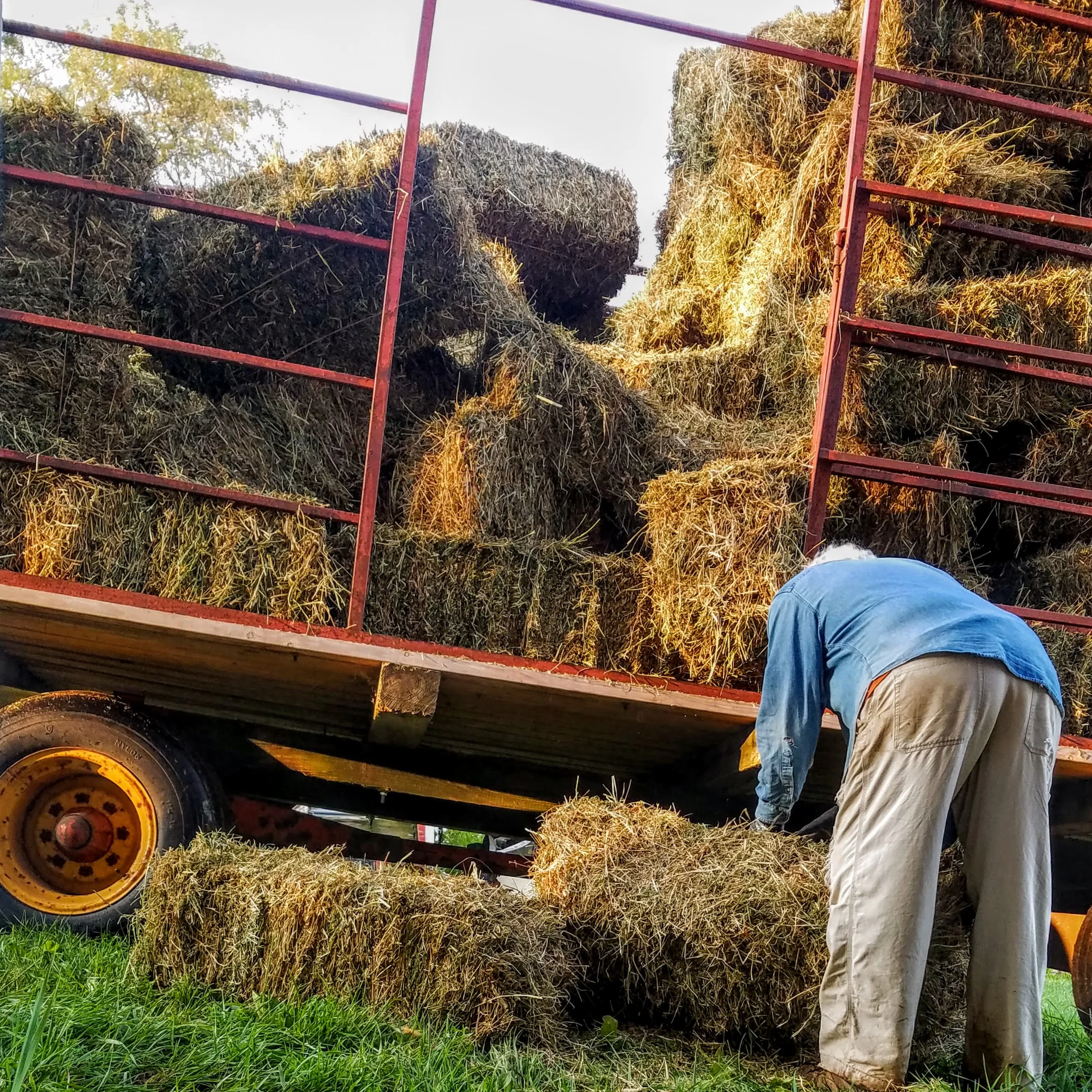 Now we're farmin