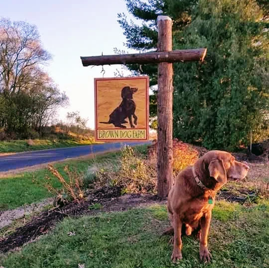 Farm mascot