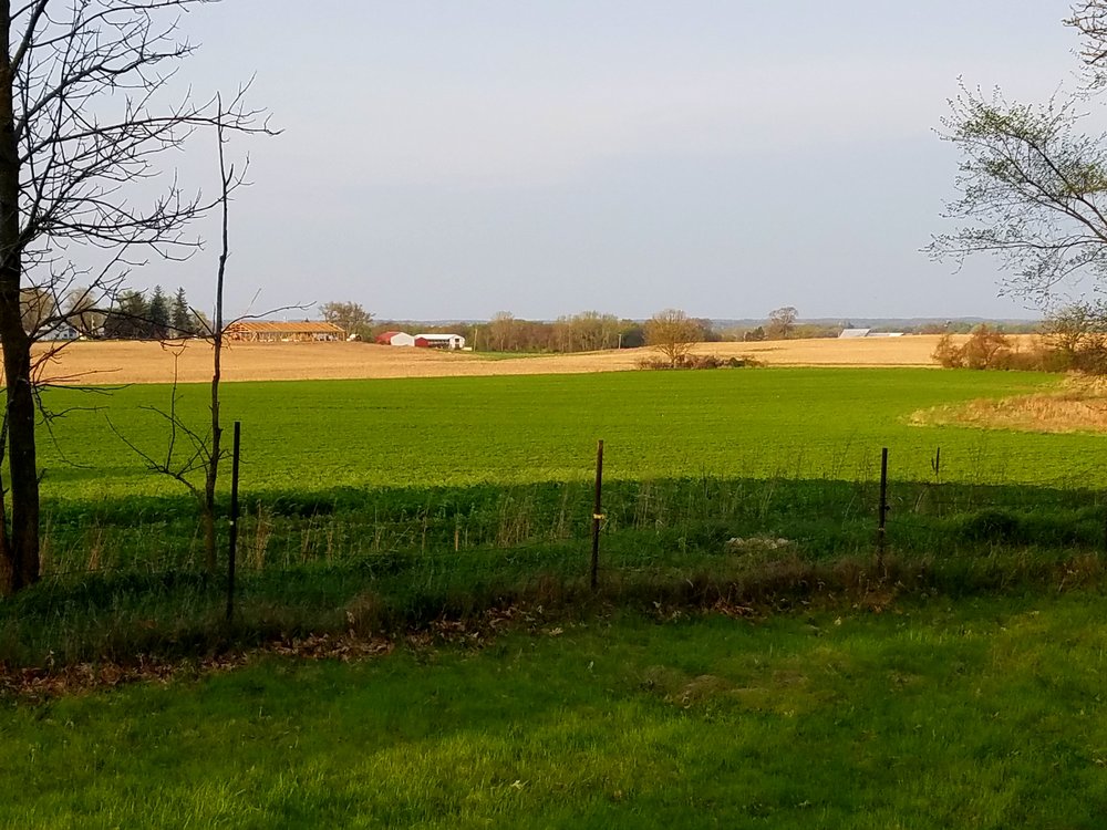hay field.jpg