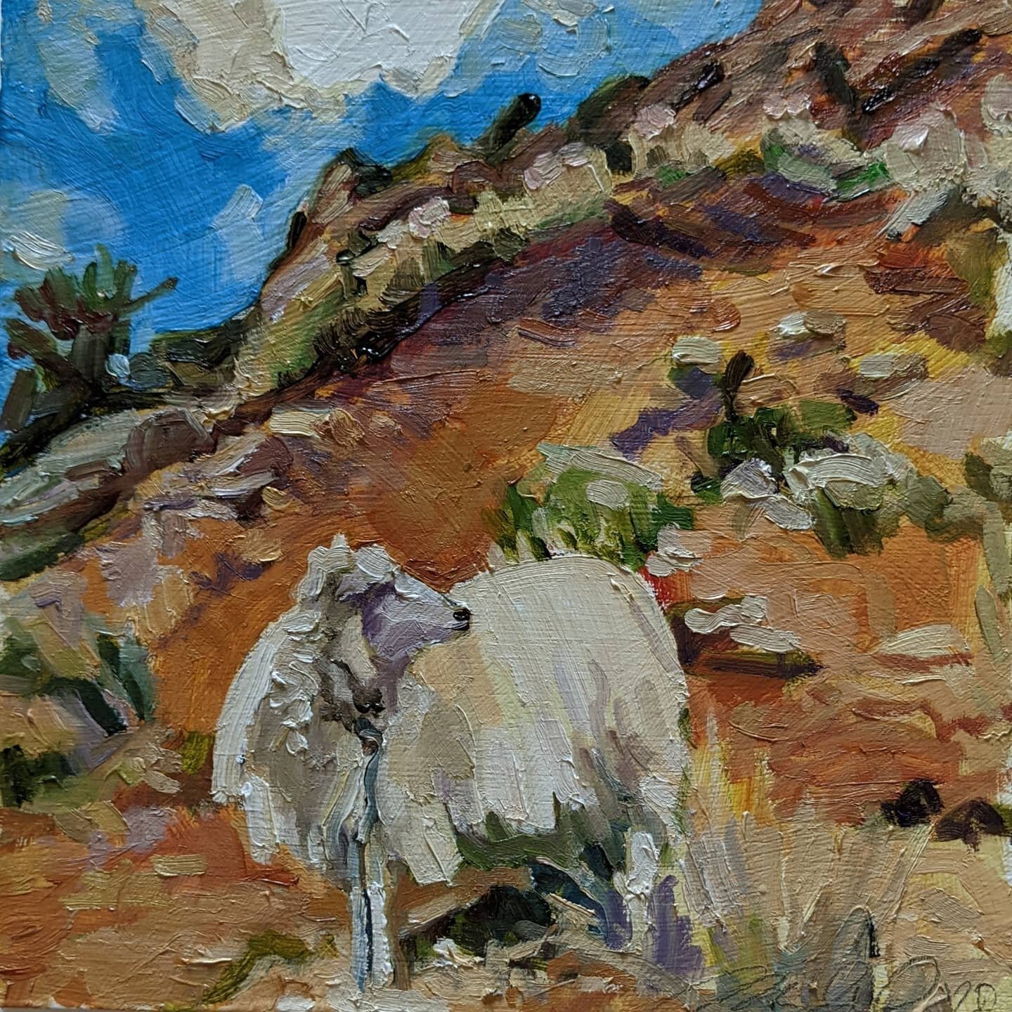these 2 paintings are making their way to navajo nation in arizona, to the home of @nikylewes a shepherd and weaver. check out their new endeavor @rainbowfibercoop . they raise beautiful navajo churro sheep and the work of local and indigenous weaver