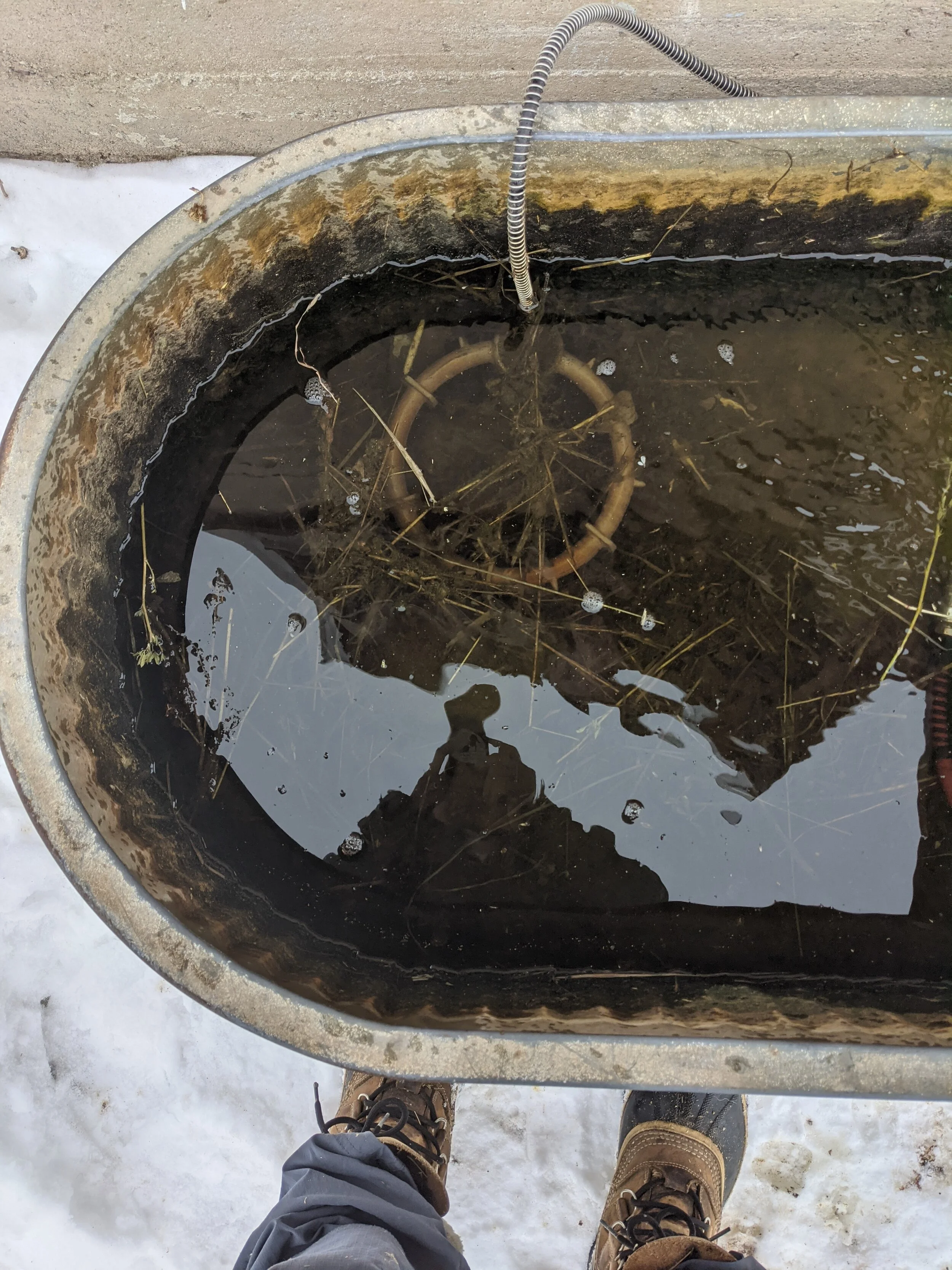 tank heater.jpg