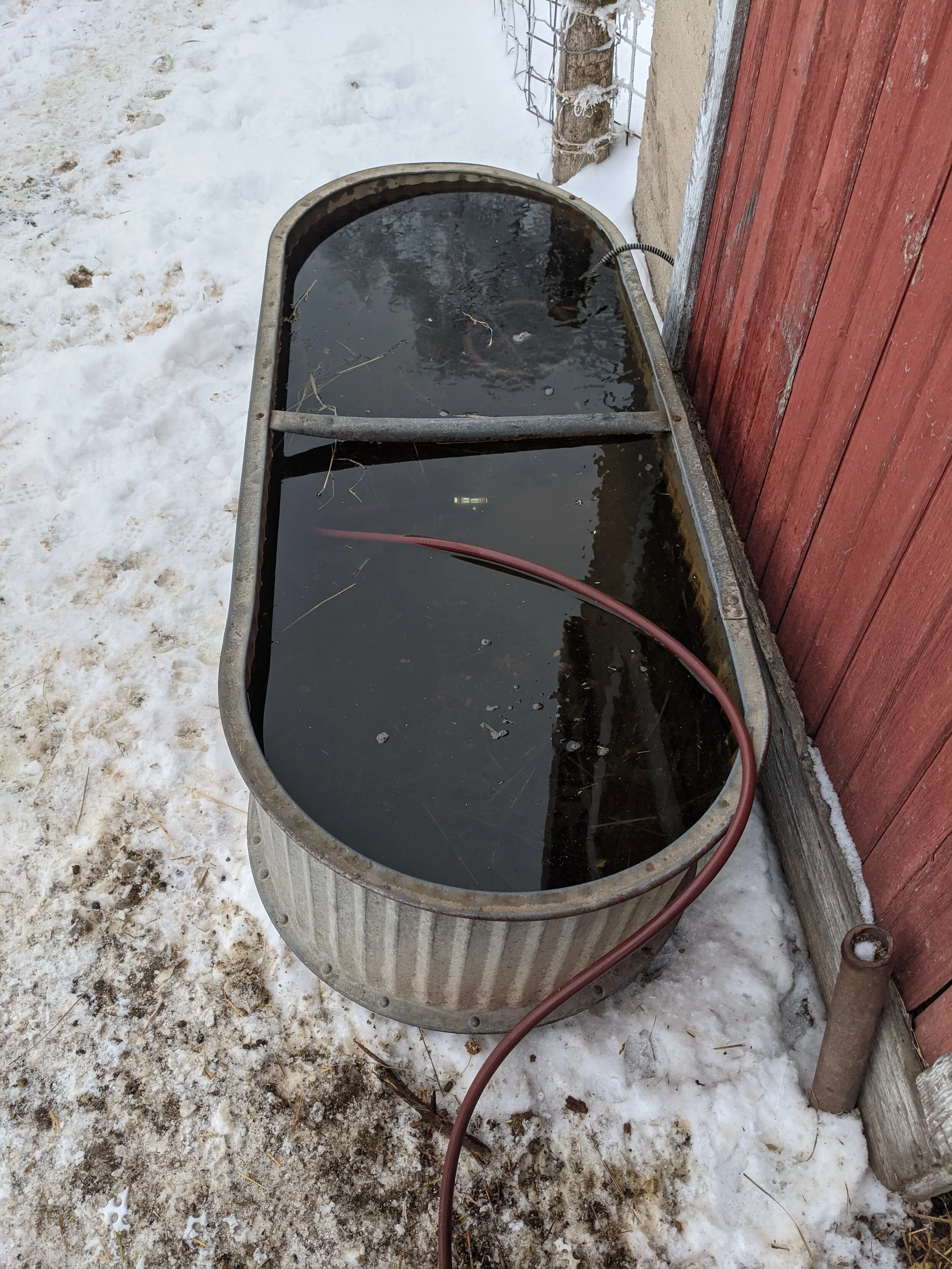 filling tank.jpg