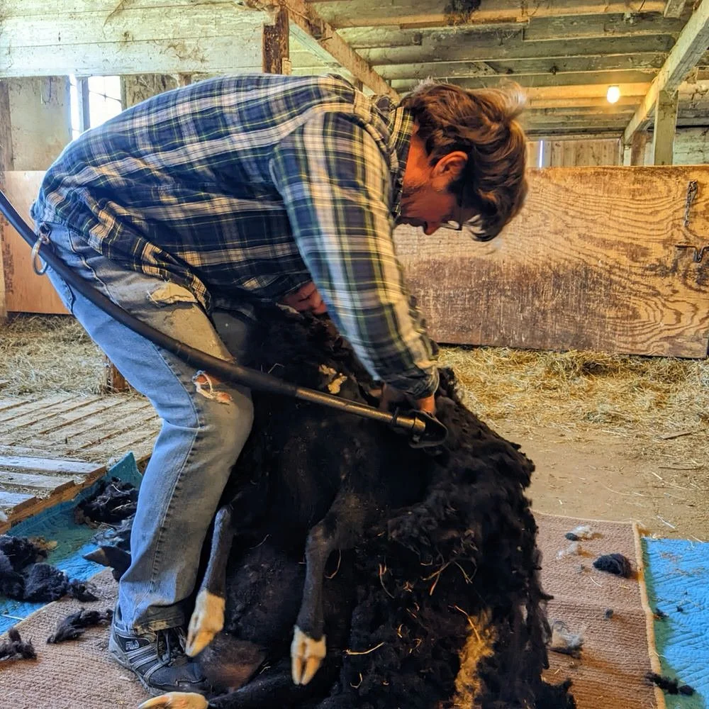 edjaegershearing2.jpg