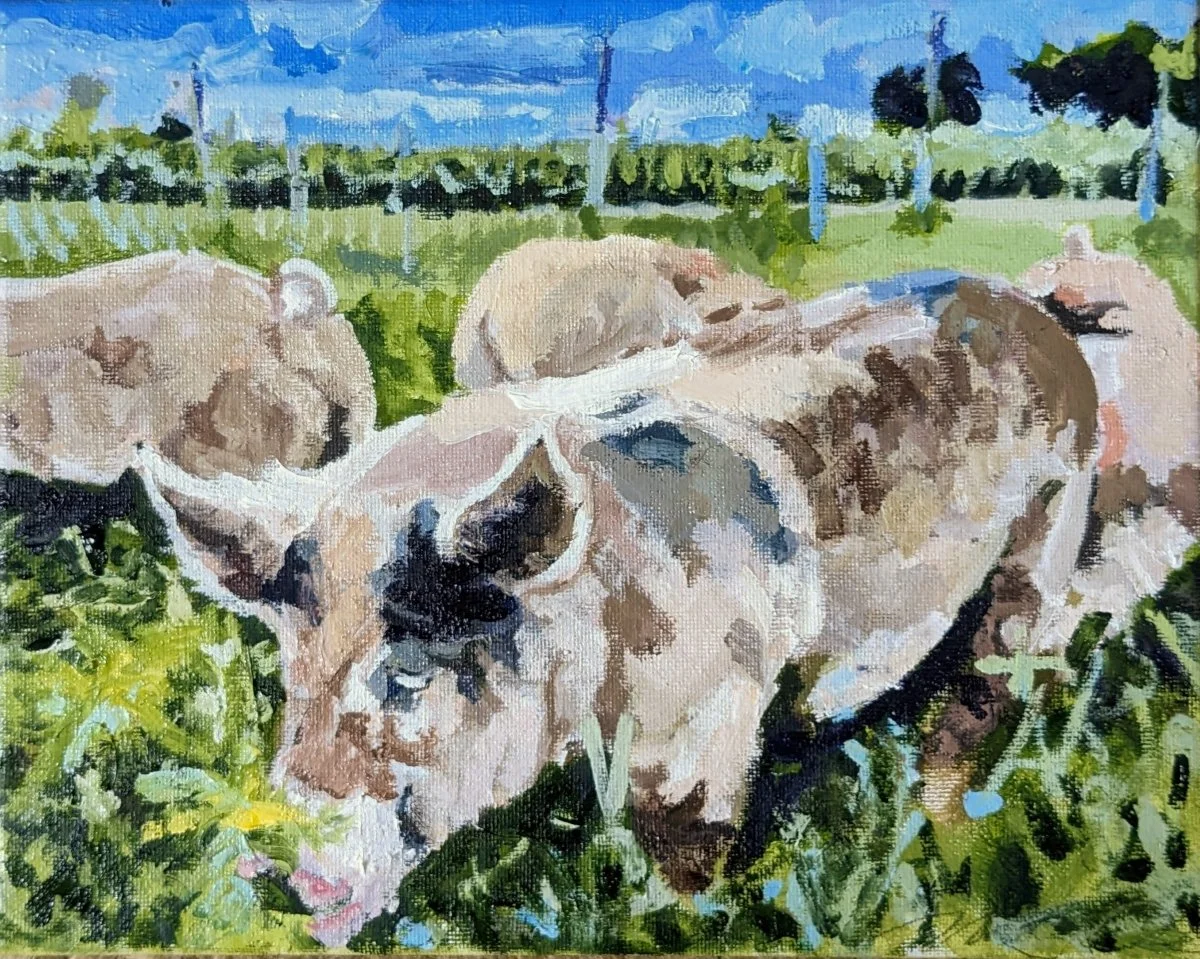 Pastured #4, Strahl Family Farm, IN