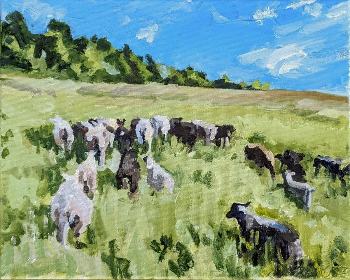 Pastured #7, Thyme Hill Farm, NY