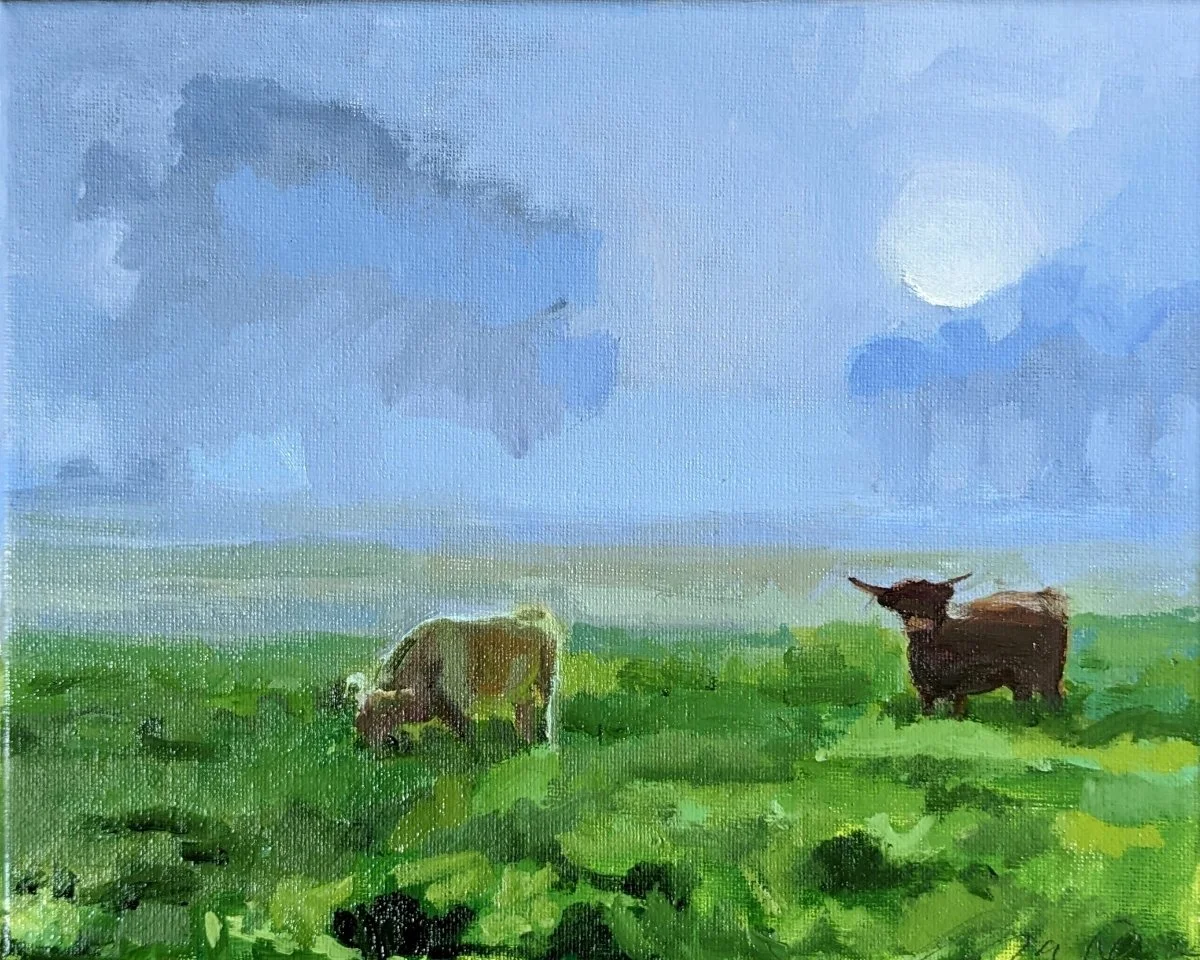 Pastured # 9, Sugar Springs Farm ,WI