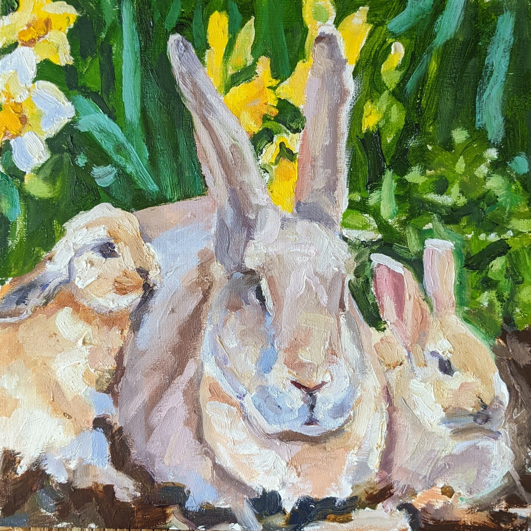 Creme de Argent Rabbit and Kits