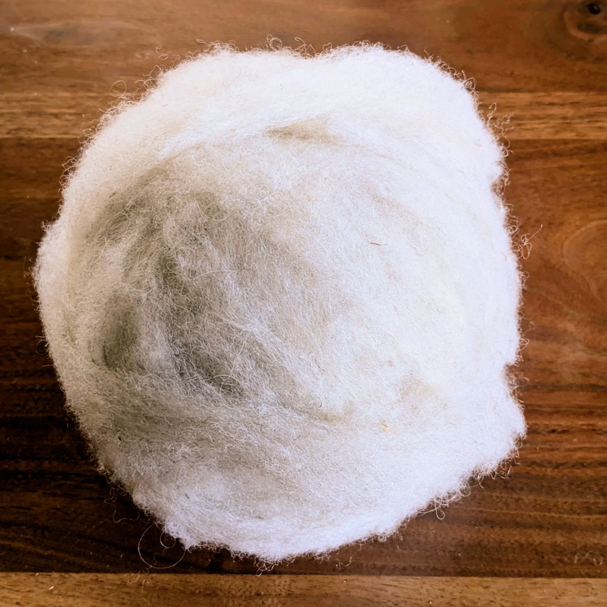 Boinne Icelandic x Shetland Roving