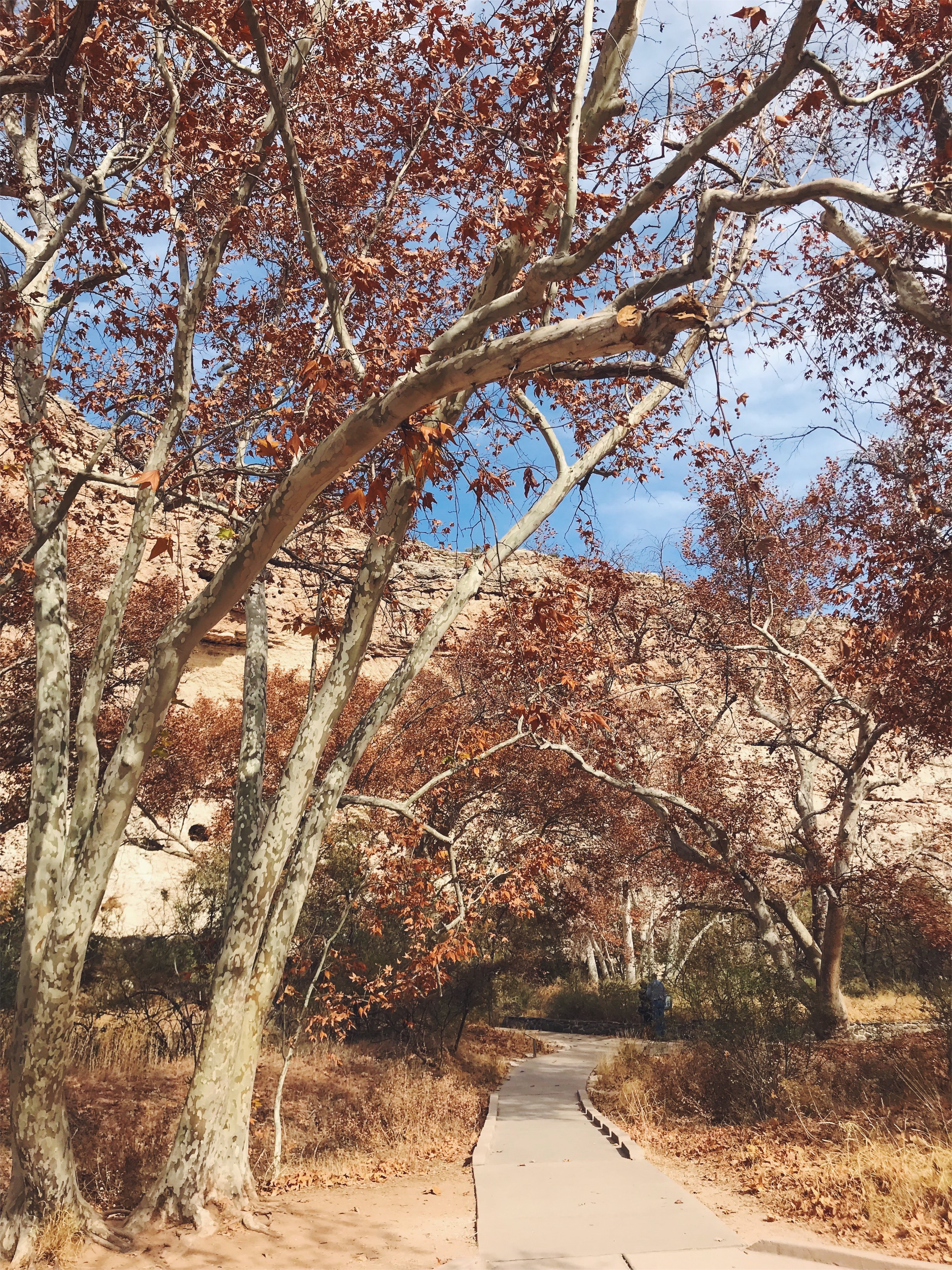JPEG image-D9D3241453B6-1.jpeg