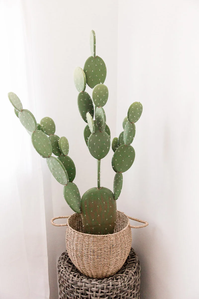 Modern-mood-home-studio-arizona-natural-light-photo-studio-rental-24.jpg