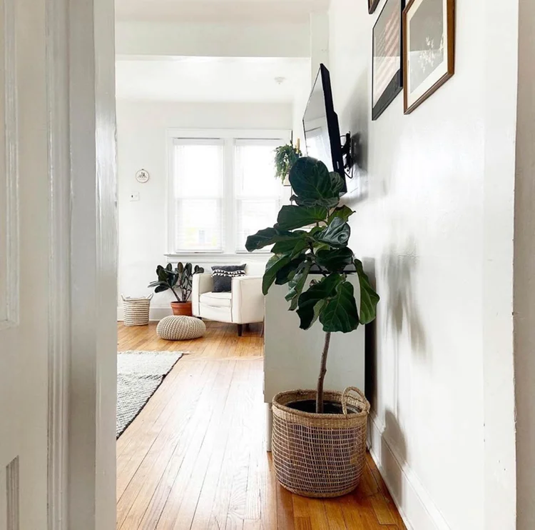 Photography Location to Rent by the Hour in Massapequa, NY Home Studio List — Home Studio List