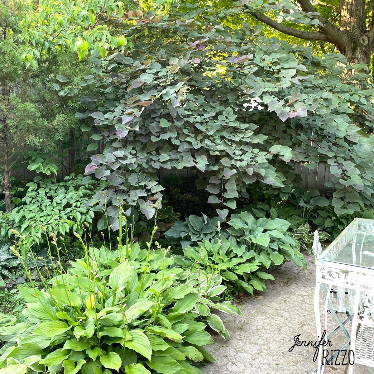 Secret Garden-LisleUT-natural-light-photography-studio-lifestyle-photoshoot-location-editorial-commercial-photography-3.JPG