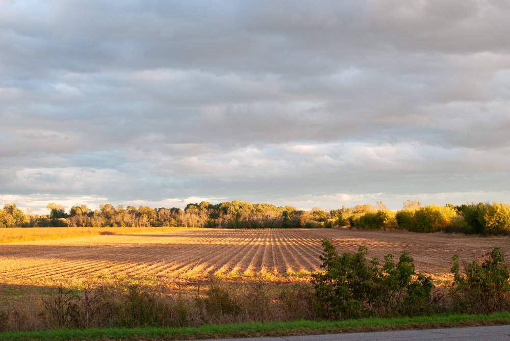 Farm Charm-Saint-PaulQC-natural-light-photography-studio-lifestyle-photoshoot-location-editorial-commercial-photography-2.jpg