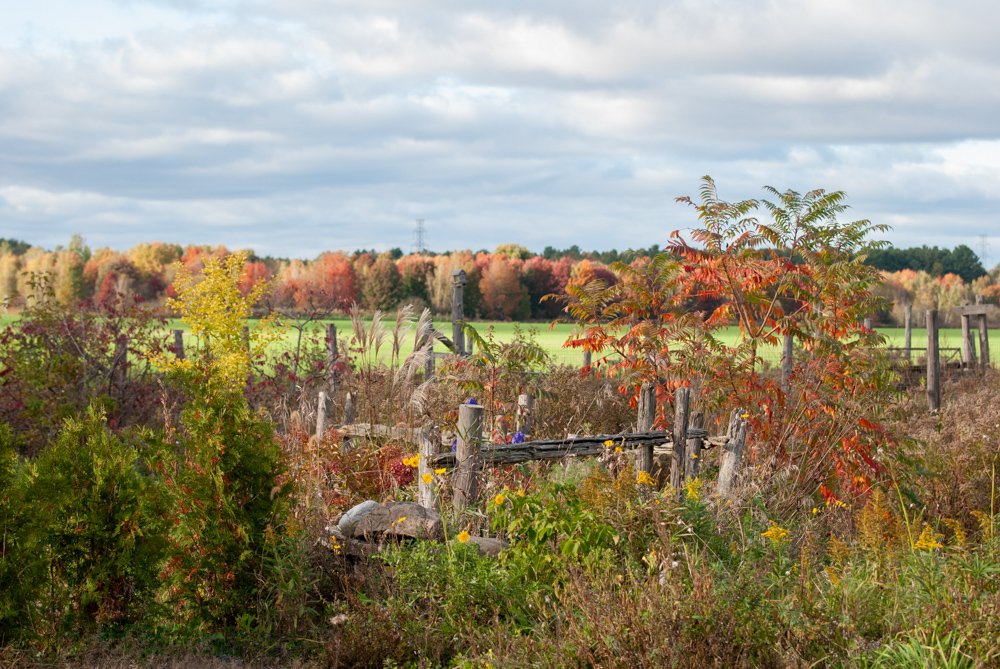 Farm Charm-Saint-PaulQC-natural-light-photography-studio-lifestyle-photoshoot-location-editorial-commercial-photography-4.jpg