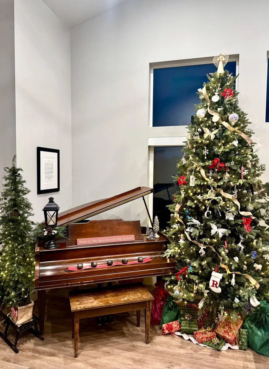 Willow Haven-Holiday2025-natural-light-photography-studio-lifestyle-photoshoot-location-editorial-commercial-photography-2.jpg