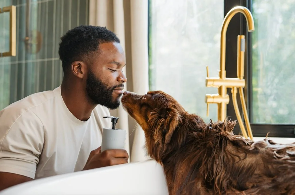 Quiet Haven-BrightonMI-natural-light-photography-studio-lifestyle-photoshoot-location-editorial-commercial-photography-16.jpg