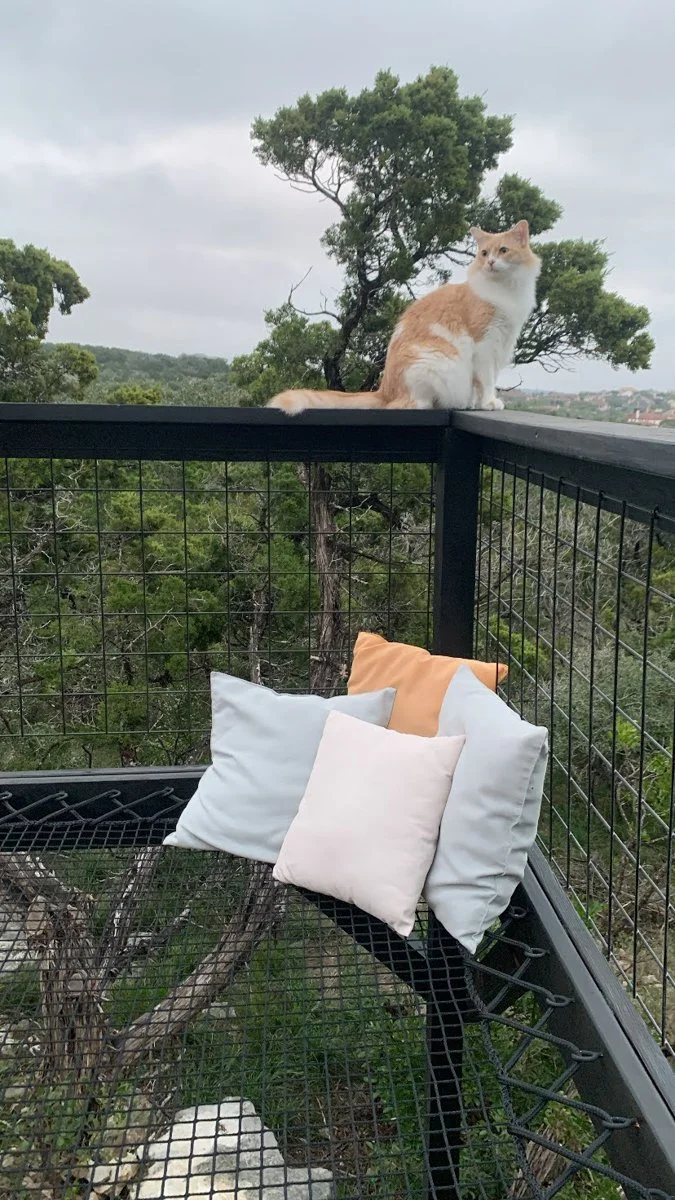 Vintage Modern-HelotesTX-natural-light-photography-studio-lifestyle-photoshoot-location-editorial-commercial-photography-4.jpg