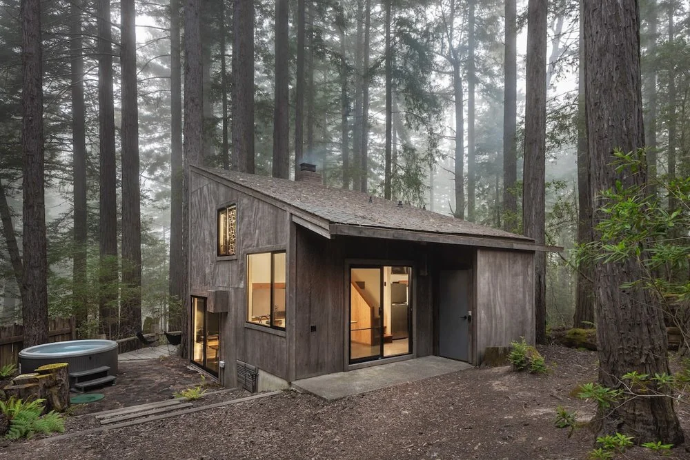 Redwood Refuge-The Sea RanchCA-natural-light-photography-studio-lifestyle-photoshoot-location-editorial-commercial-photography-4.jpg