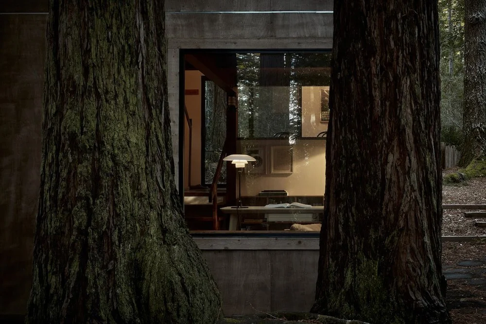 Redwood Refuge-The Sea RanchCA-natural-light-photography-studio-lifestyle-photoshoot-location-editorial-commercial-photography-5.jpg