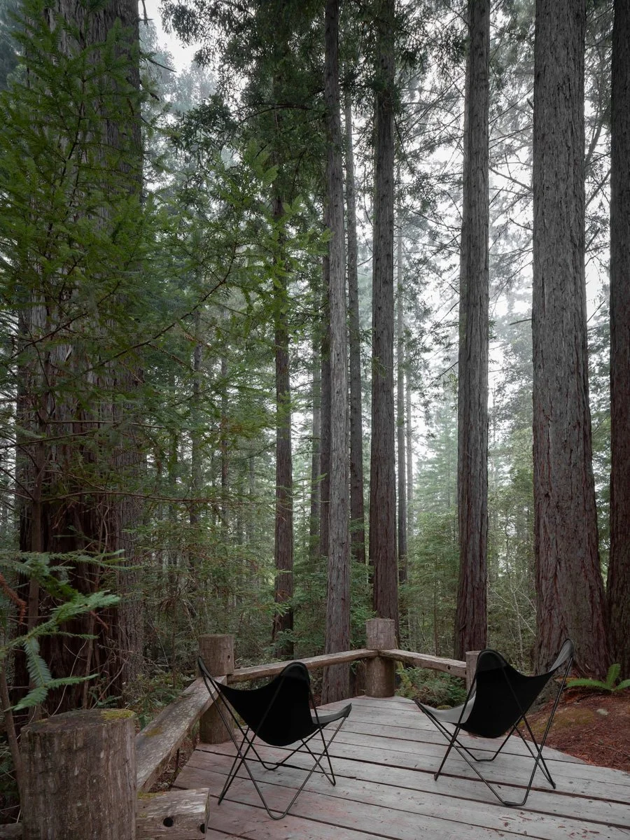 Redwood Refuge-The Sea RanchCA-natural-light-photography-studio-lifestyle-photoshoot-location-editorial-commercial-photography-9.jpg