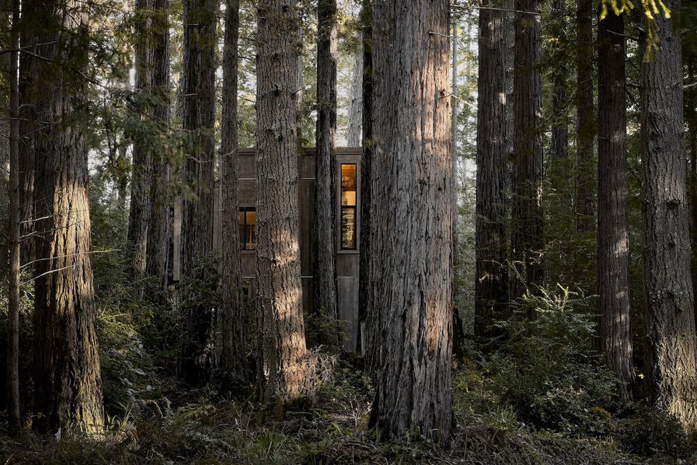 Redwood Refuge-The Sea RanchCA-natural-light-photography-studio-lifestyle-photoshoot-location-editorial-commercial-photography-11.jpg