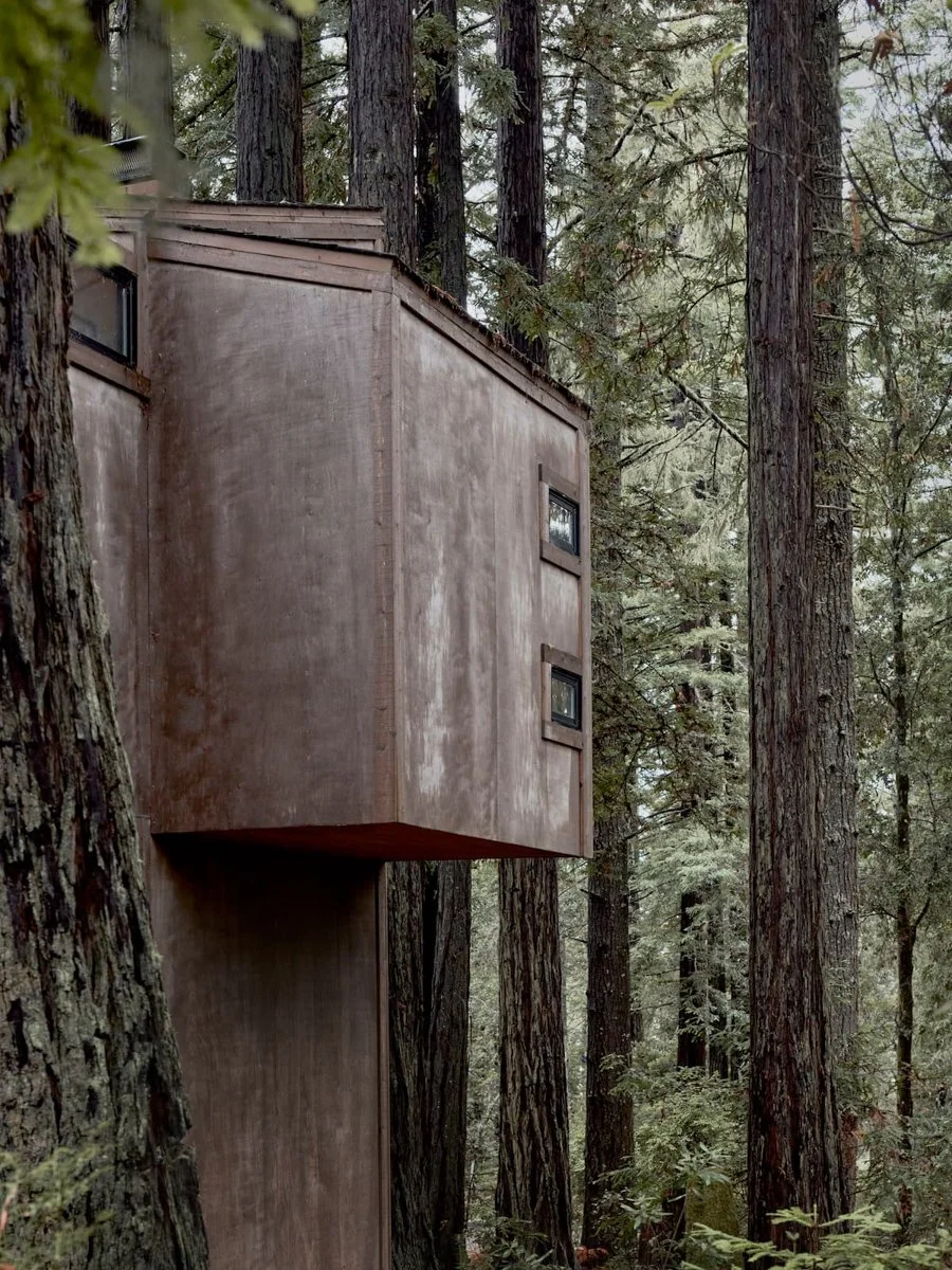 Redwood Refuge-The Sea RanchCA-natural-light-photography-studio-lifestyle-photoshoot-location-editorial-commercial-photography-17.jpg