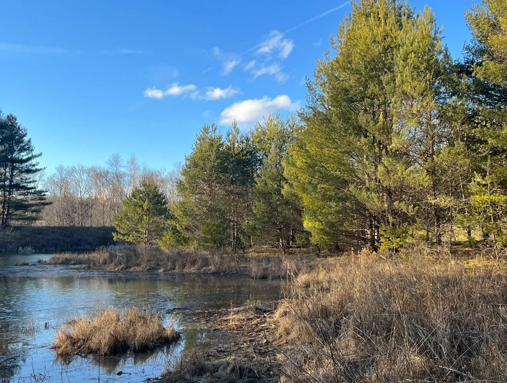 Classic Estate-DallasPA-natural-light-photography-studio-lifestyle-photoshoot-location-editorial-commercial-photography-1.jpg